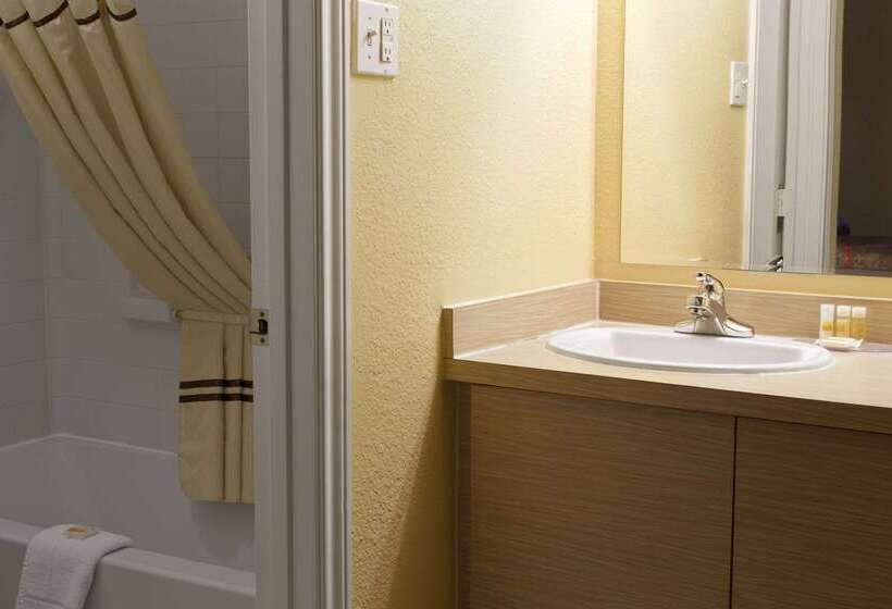 هتل Days Inn By Wyndham Denver Downtown