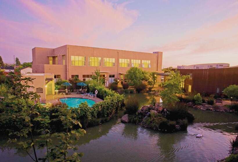 Отель Doubletree By Hilton Napa Valley American Canyon