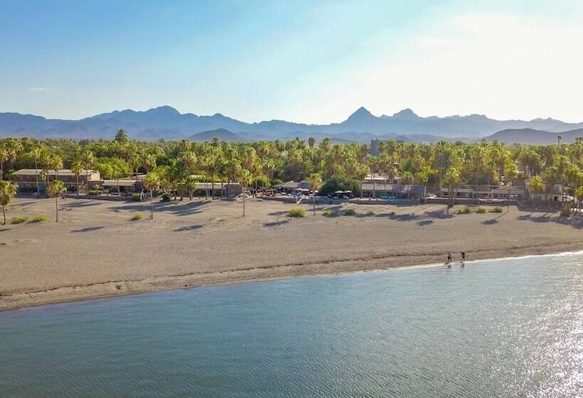 هتل Oasis