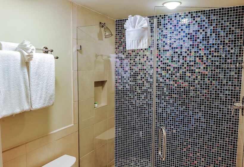 בית מלון כפרי Silver Palms Inn