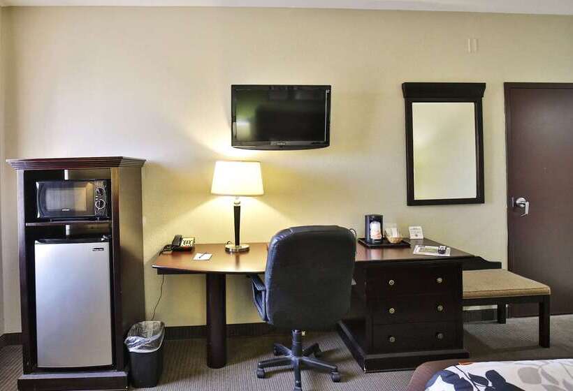 בית מלון כפרי Sleep Inn & Suites University