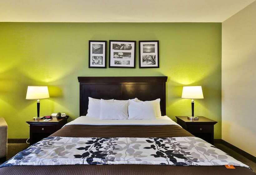 בית מלון כפרי Sleep Inn & Suites University