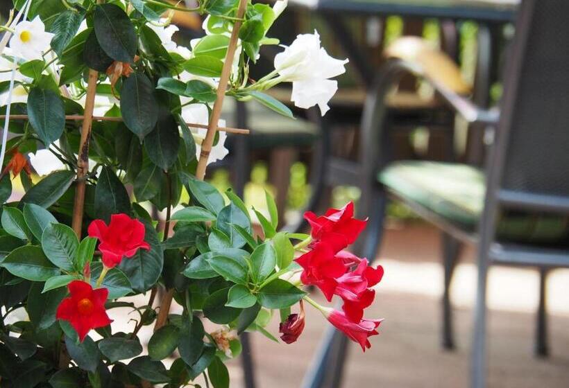 ホテル Breitenfelderhof Zur Riegersburg