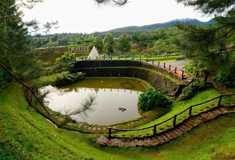 فندق Dahilayan Forest Park Resort