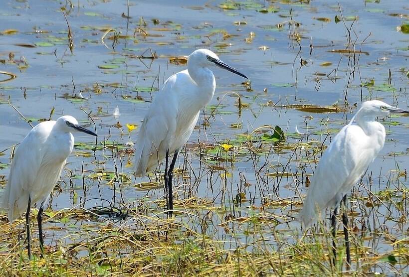 هتل To Archontiko Guesthouse Villa