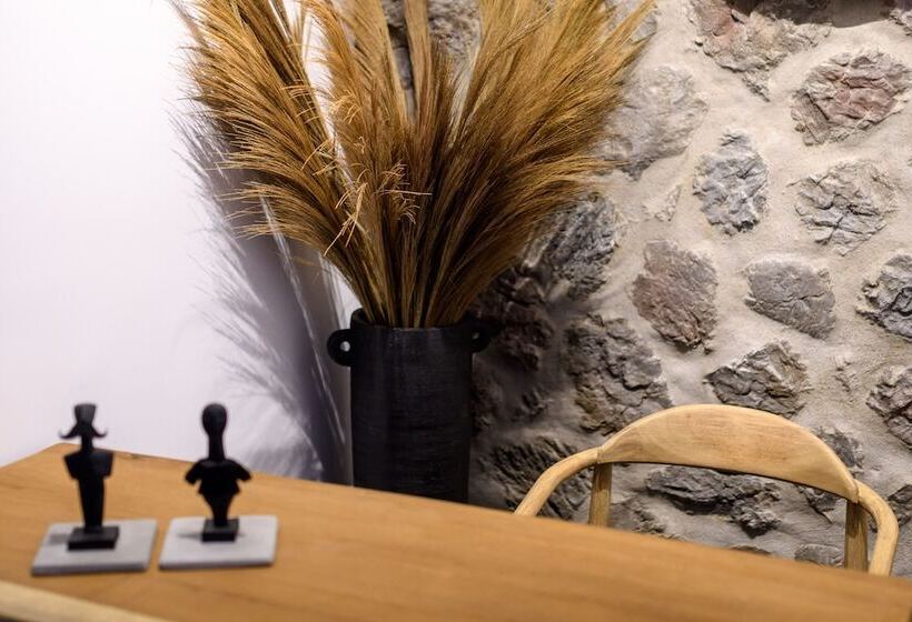 ペンション Vrachos Suites Mykonos