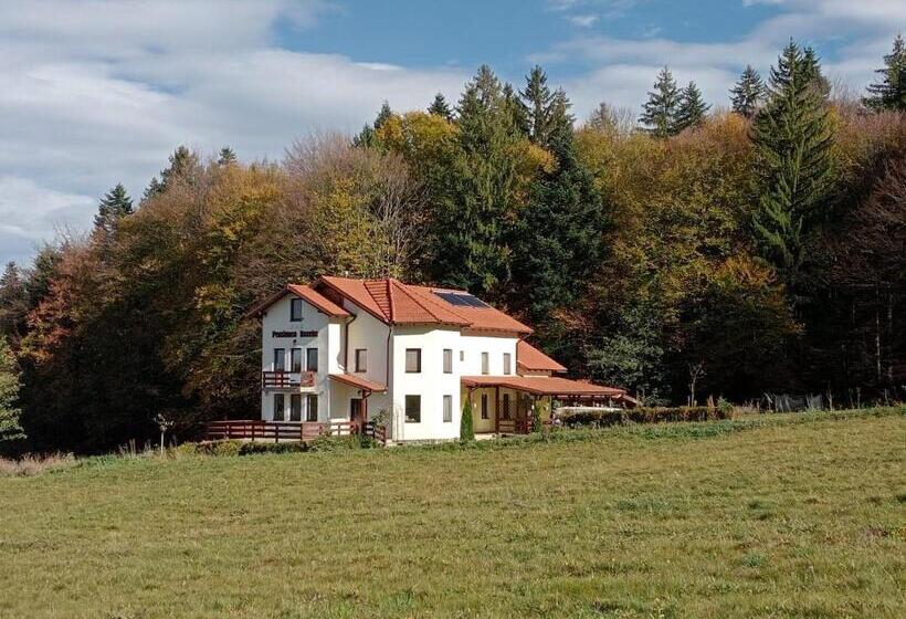 Pensiunea Rozelor Stațiunea Climaterică Sâmbăta