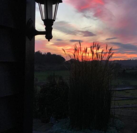 مبيت وإفطار The Cow Hide