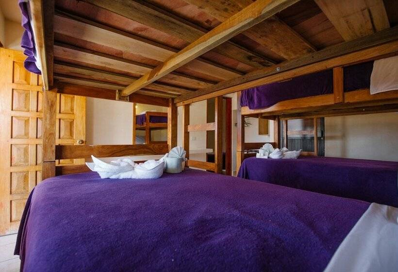 هتل Casa Anaya   Hostel