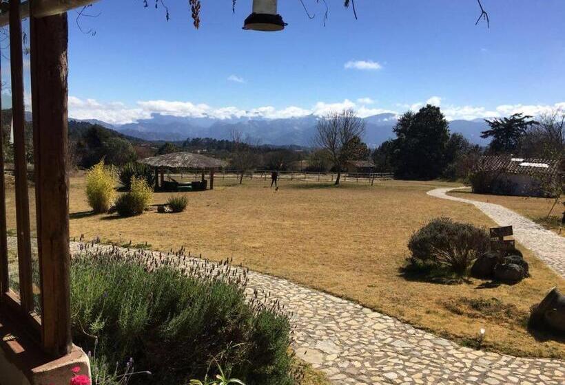 هتل Casa Kitsch