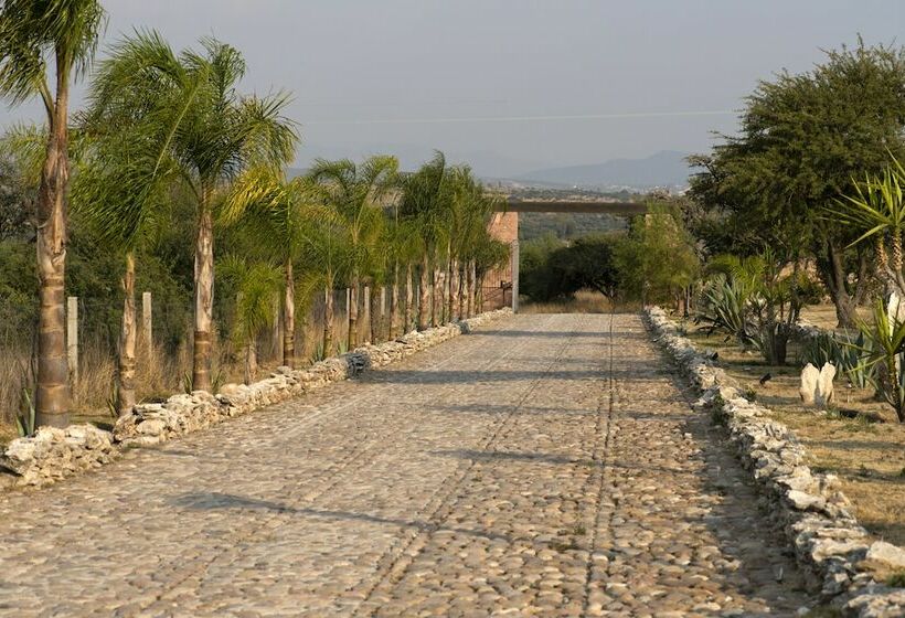 هتل El Macehual