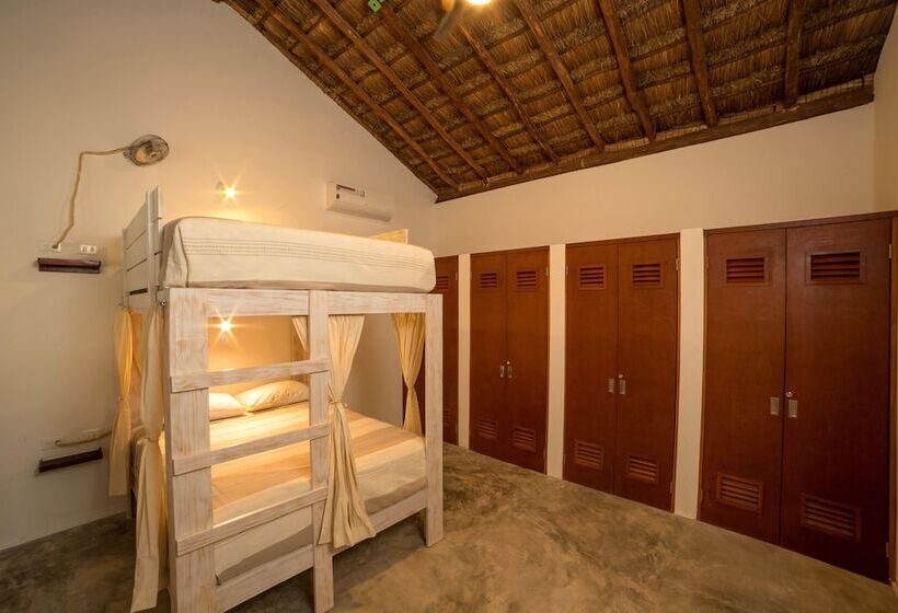 فندق Mimosa Tulum