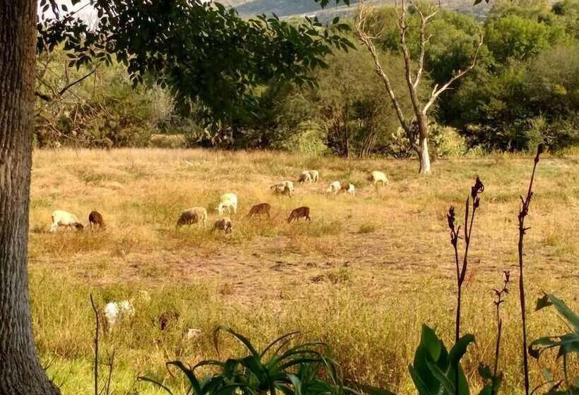 فندق Rancho Los Alamos