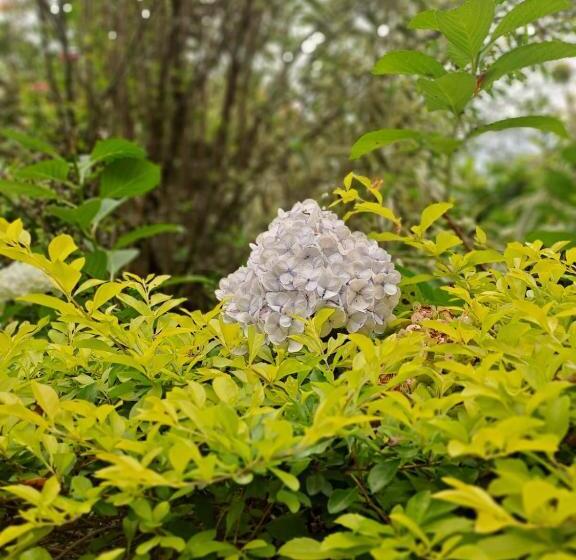 هتل Villa Sonia Eco Hostel