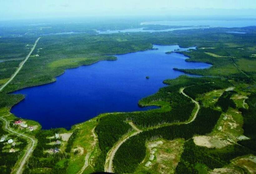 مبيت وإفطار The Cozy Fox