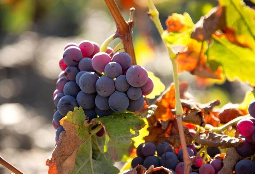 هتل روستایی El Ventorro Hospederia Rural