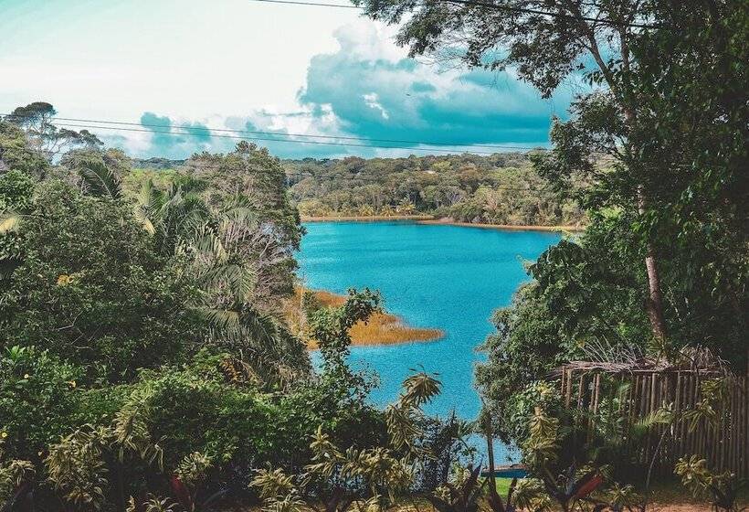 膳宿费 Pousada Bellatrix Ecolodge   Reserva De Sapiranga   Praia Do Forte   Bahia