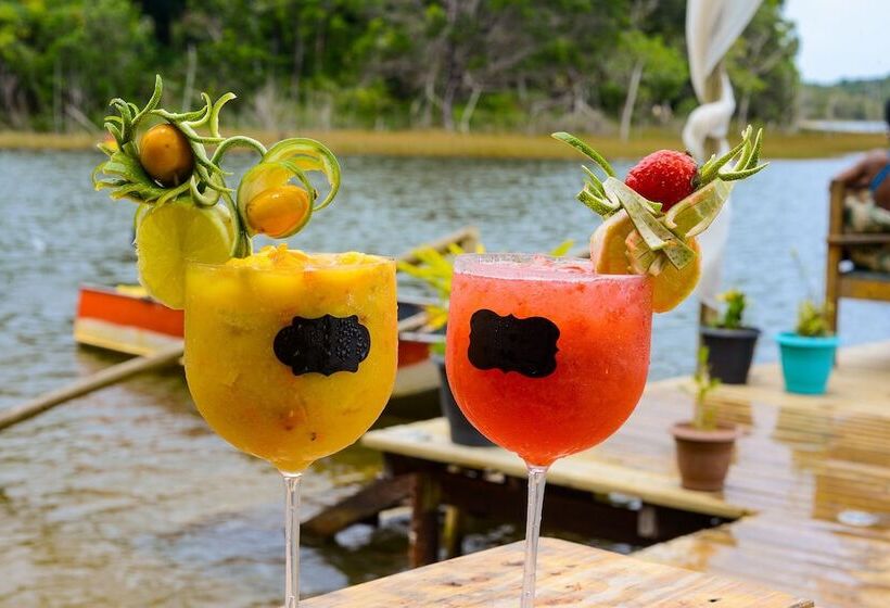 膳宿费 Pousada Bellatrix Ecolodge   Reserva De Sapiranga   Praia Do Forte   Bahia