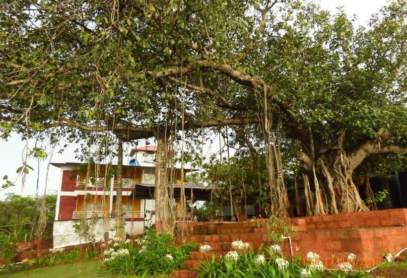 فندق صغير Pinacle Inn