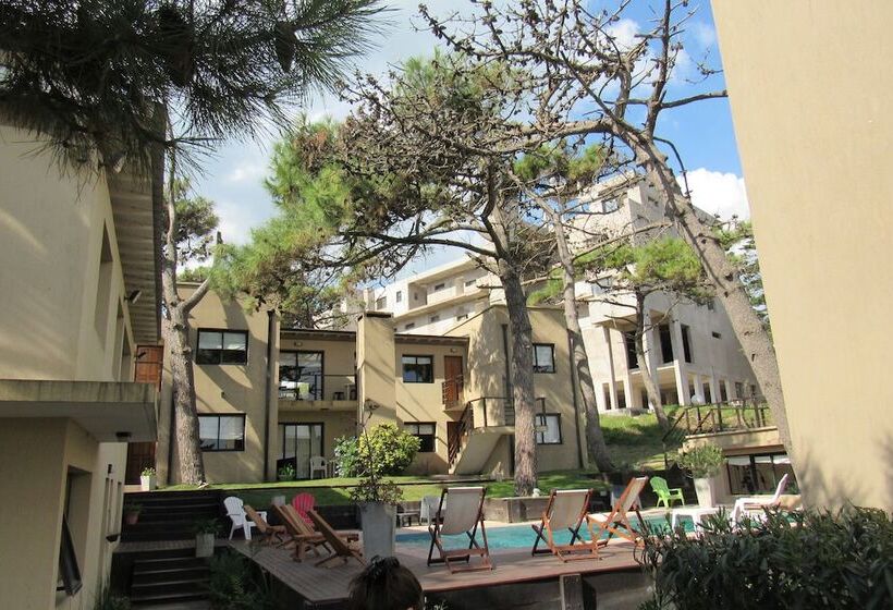 Complejo Azul Marino