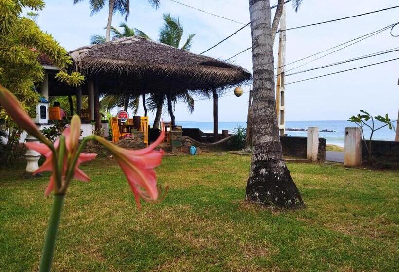 酒店 Sunchaser Beach