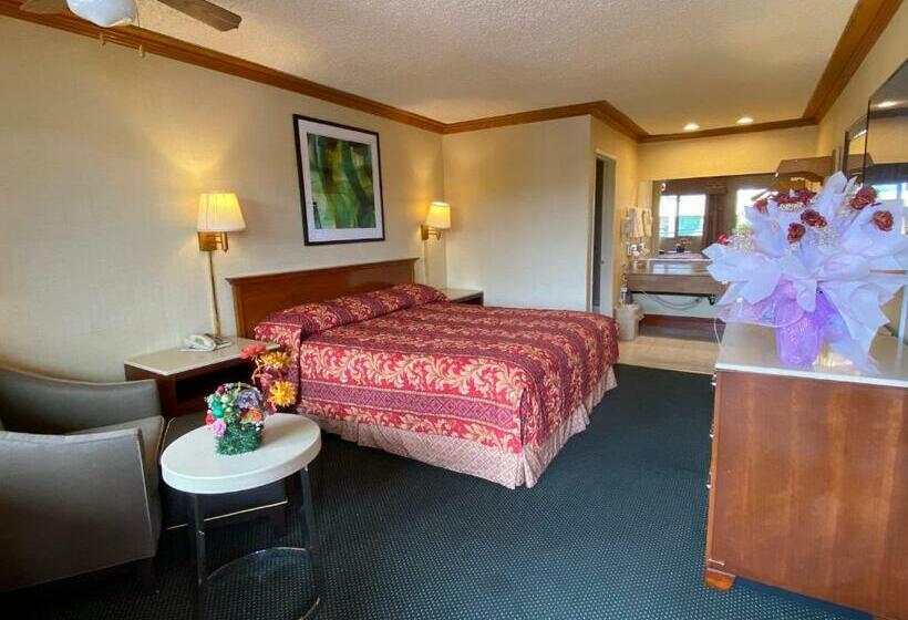 فندق على الطريق New Century Inn