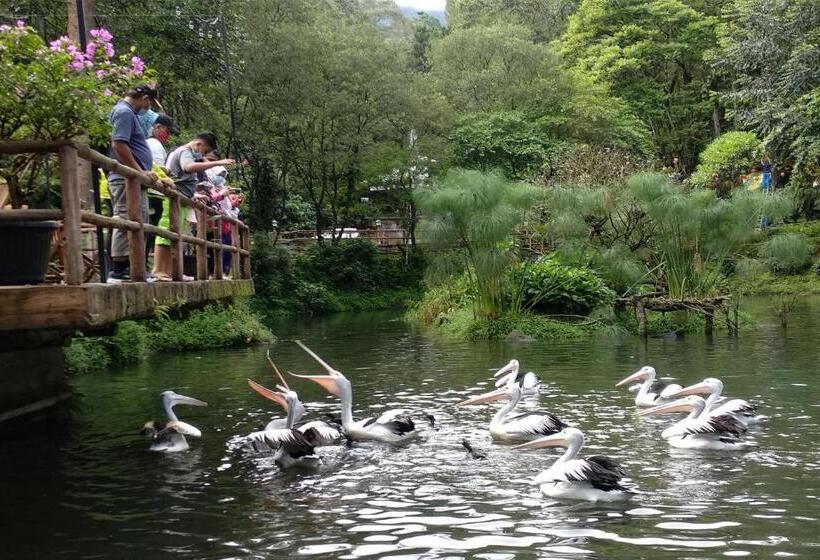 בית מלון כפרי Safari Resort