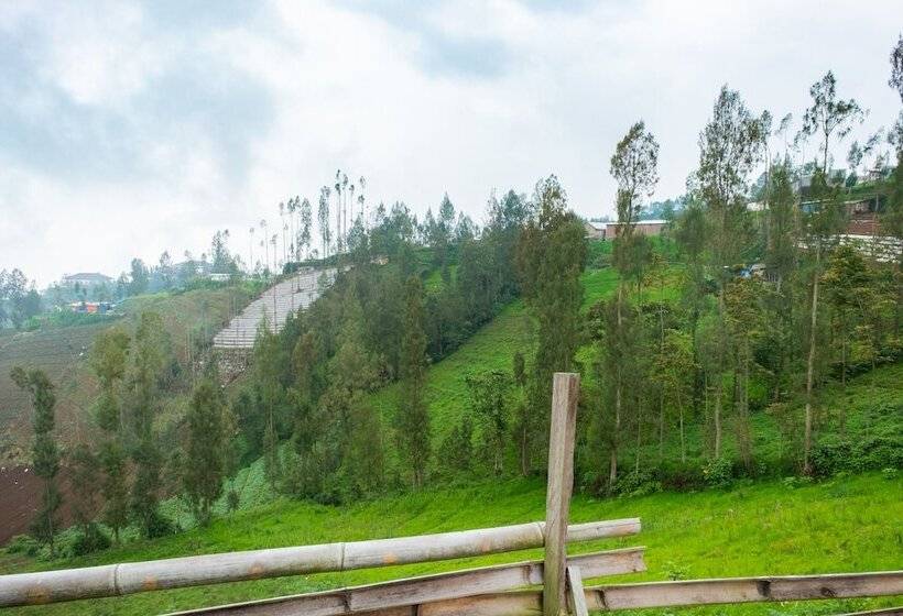 ホテル Anugrah Bromo Homestay By Oyo Rooms