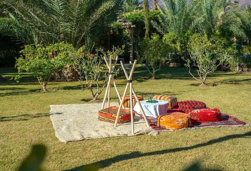 پانسیون Dar Hnini