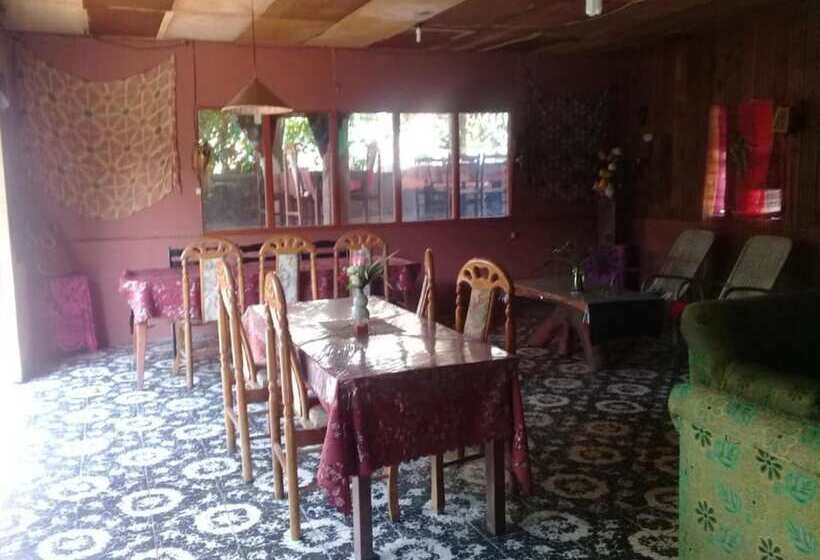 پانسیون Merlyn Guest House