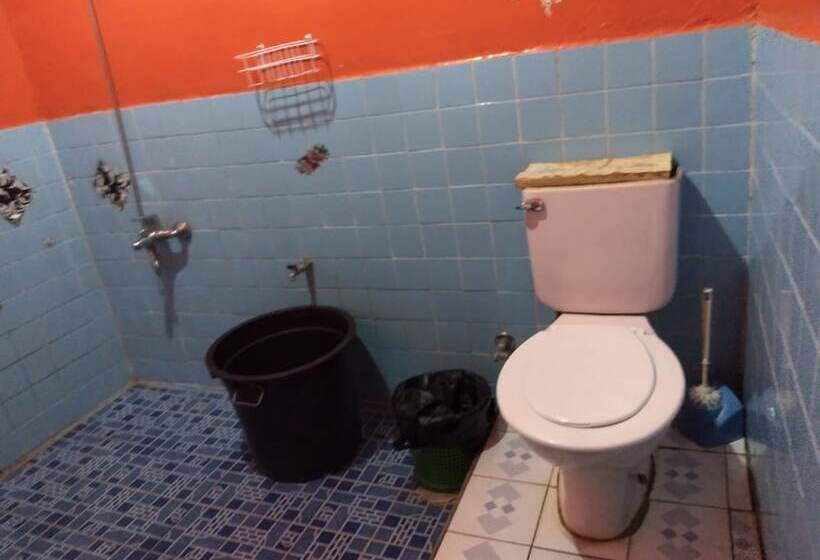 پانسیون Merlyn Guest House