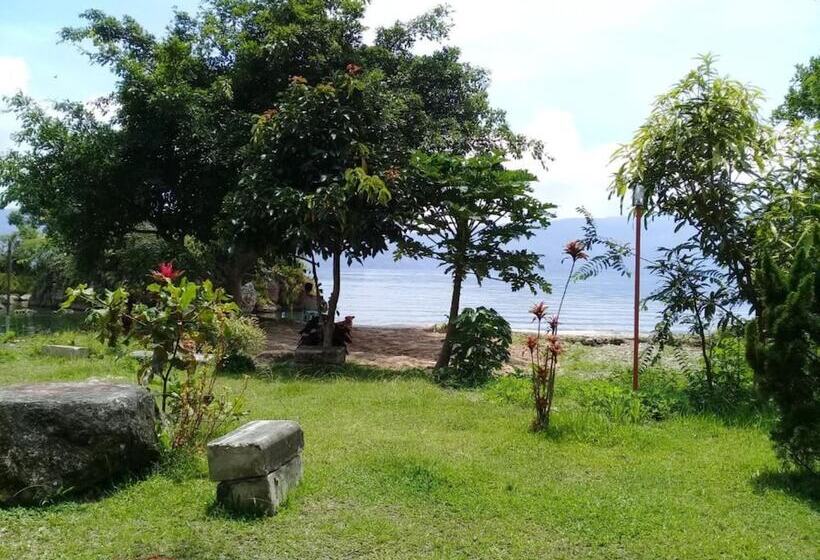 پانسیون Merlyn Guest House