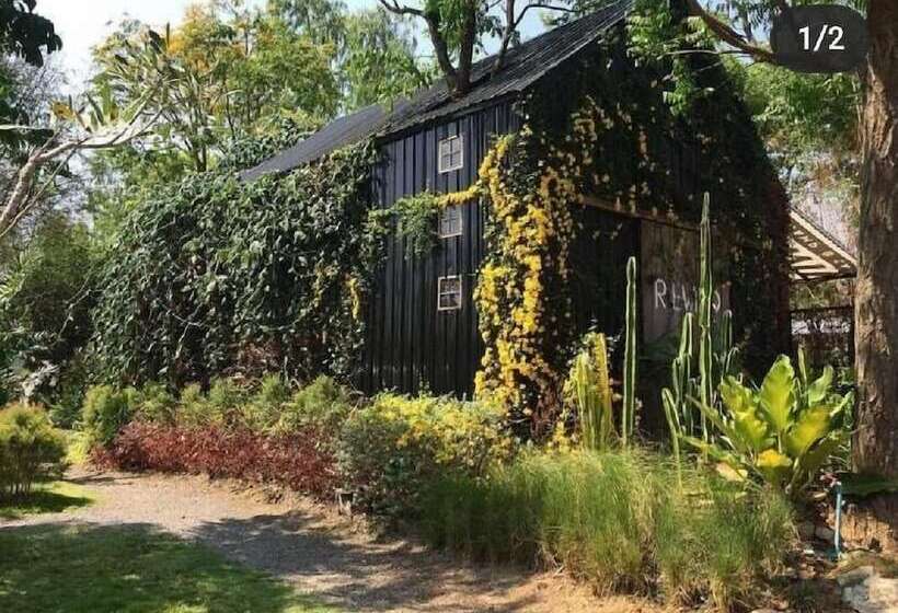 فندق Rewild Camp And Cafe