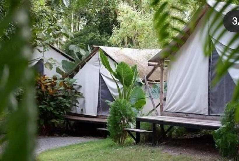 فندق Rewild Camp And Cafe