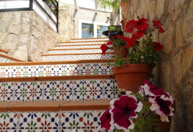 Hostal La Paloma Ii   Hotel Calpe Grupo