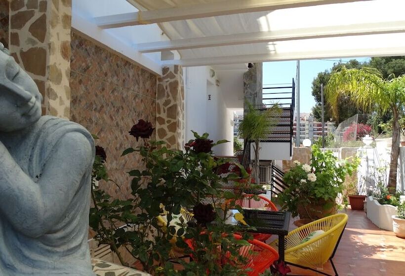 Hostal La Paloma Ii   Hotel Calpe Grupo