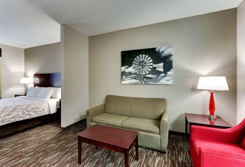 هتل Best Western Plus University Inn & Suites