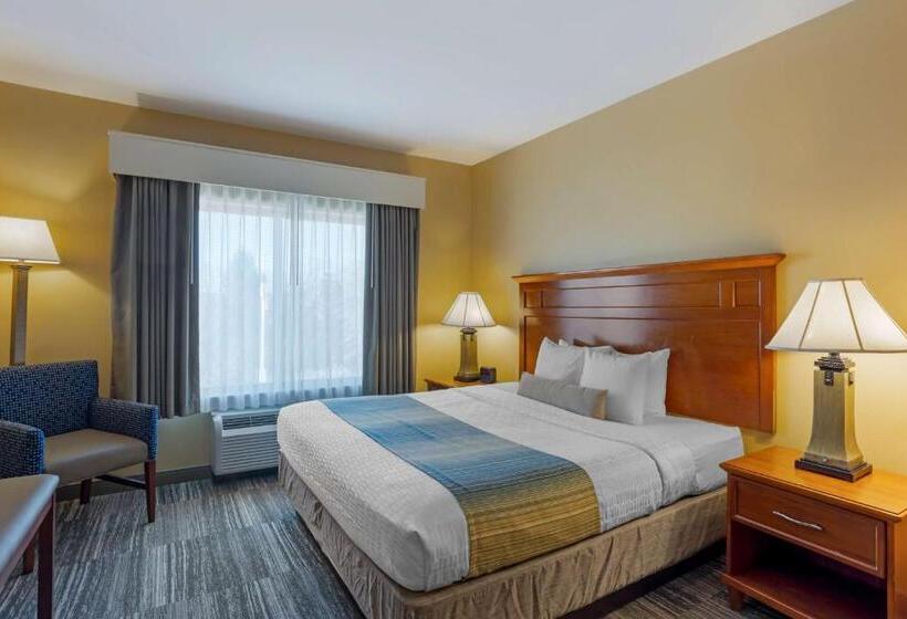 هتل Best Western Plus University Park Inn & Suites