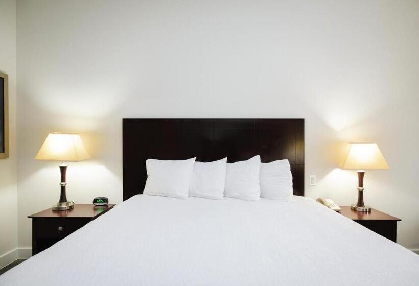 ホテル Best Western Sugar Land   Richmond