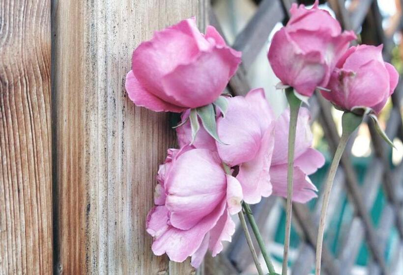 مبيت وإفطار Lindo Lugar   Just A 7 Minute Walk From The Airport