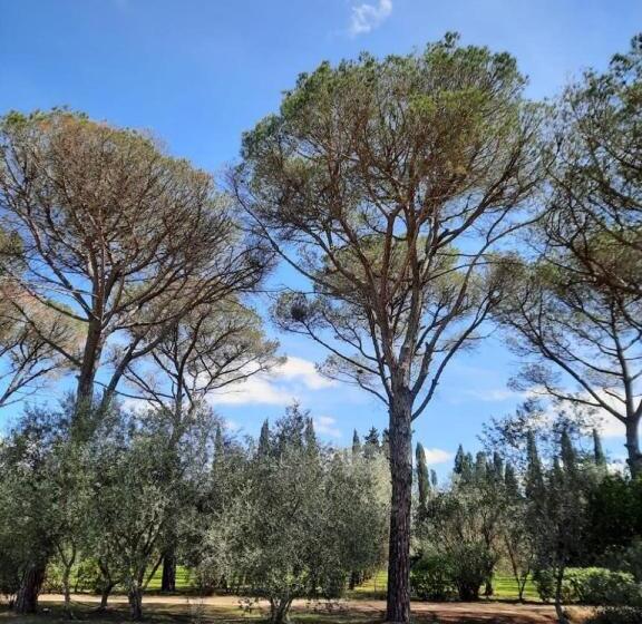 مبيت وإفطار Villa Di Noi