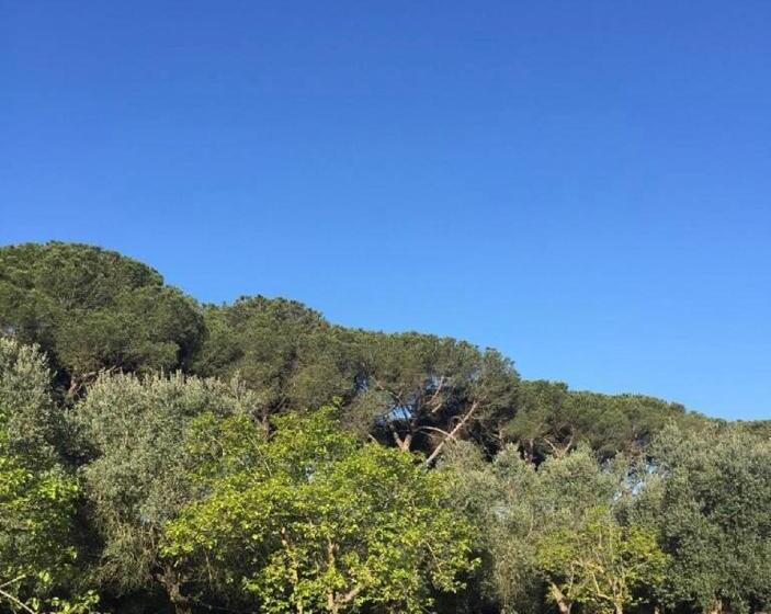 مبيت وإفطار Villa Di Noi
