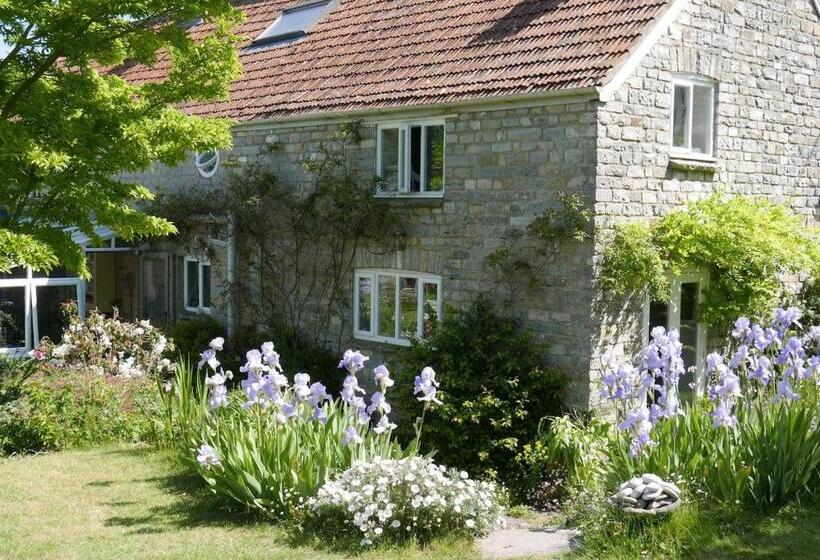 민박 The Potting Shed, Self Contained, Detached Retreat In Shapwick Village