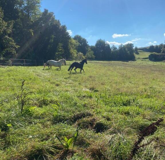 مبيت وإفطار Chez Sophie  Chambres D’hôtes, Gîte Et Gîte équestre