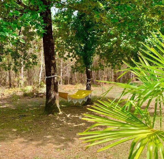 צימר Hacienda De La Canopée Avec Piscine Chauffée Au Sel