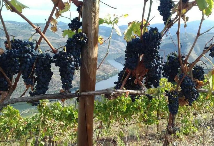 مبيت وإفطار Stay At The Winemaker