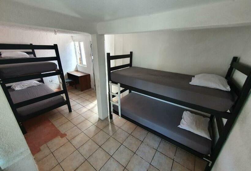 پانسیون Nómadas Hostel