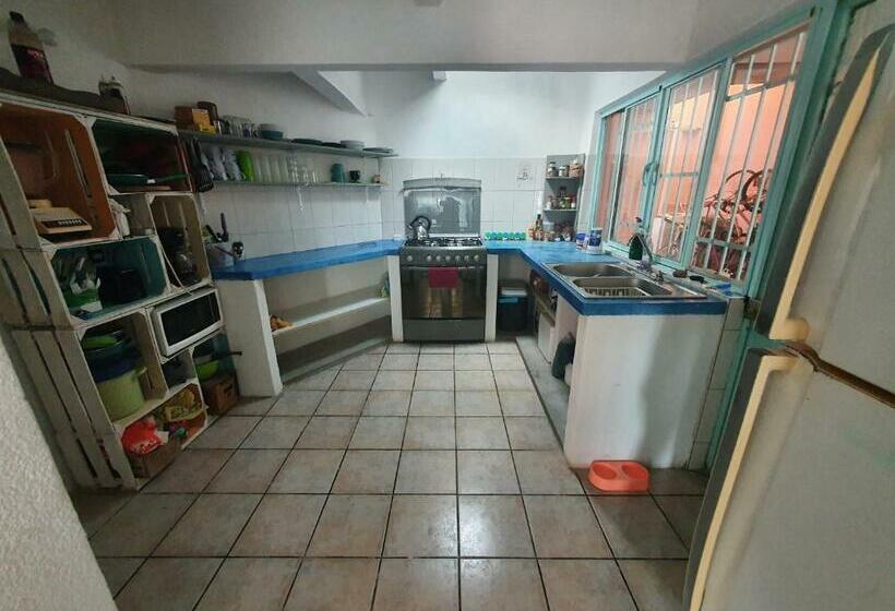 پانسیون Nómadas Hostel