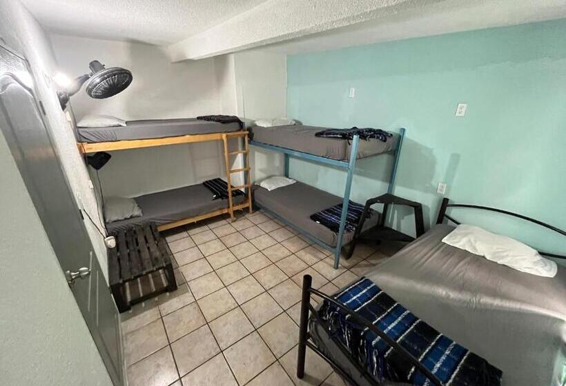 پانسیون Nómadas Hostel