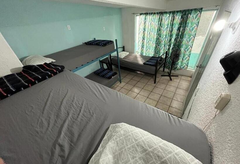پانسیون Nómadas Hostel